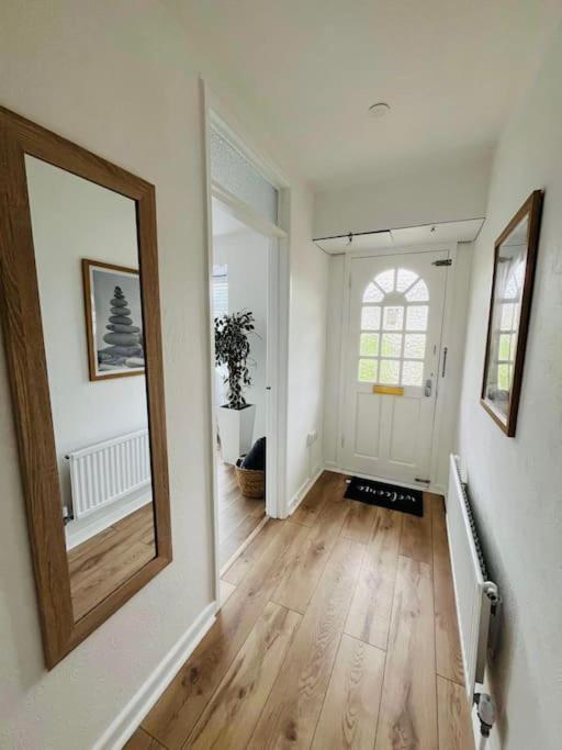 Hazlebury Muse Broadstone